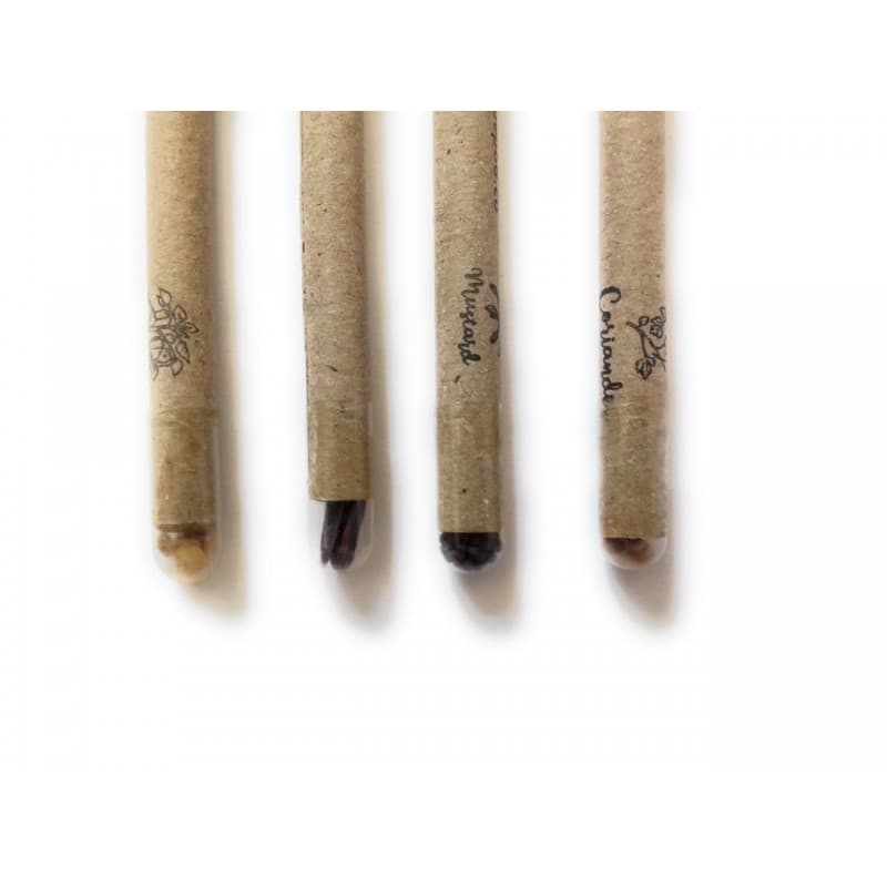 Plantable Paper Pen with Holder | Pack of 5 - 2
