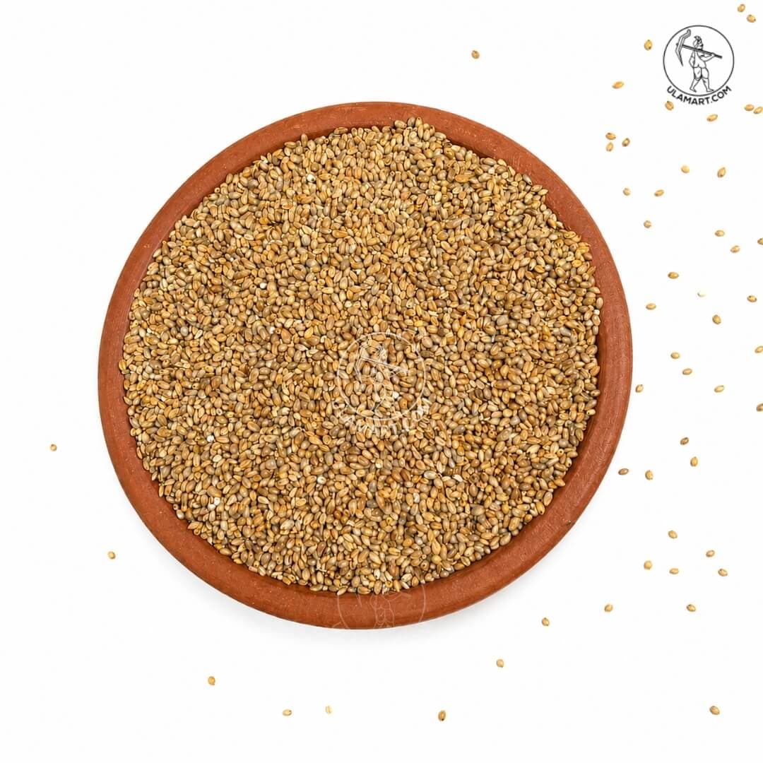 Desi Pearl Millet | Organic Kambu | Bajra