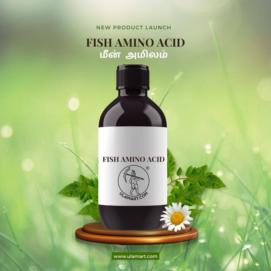 Fish Amino acid | Natural Plant Fertilizer| 200 ml bottle
