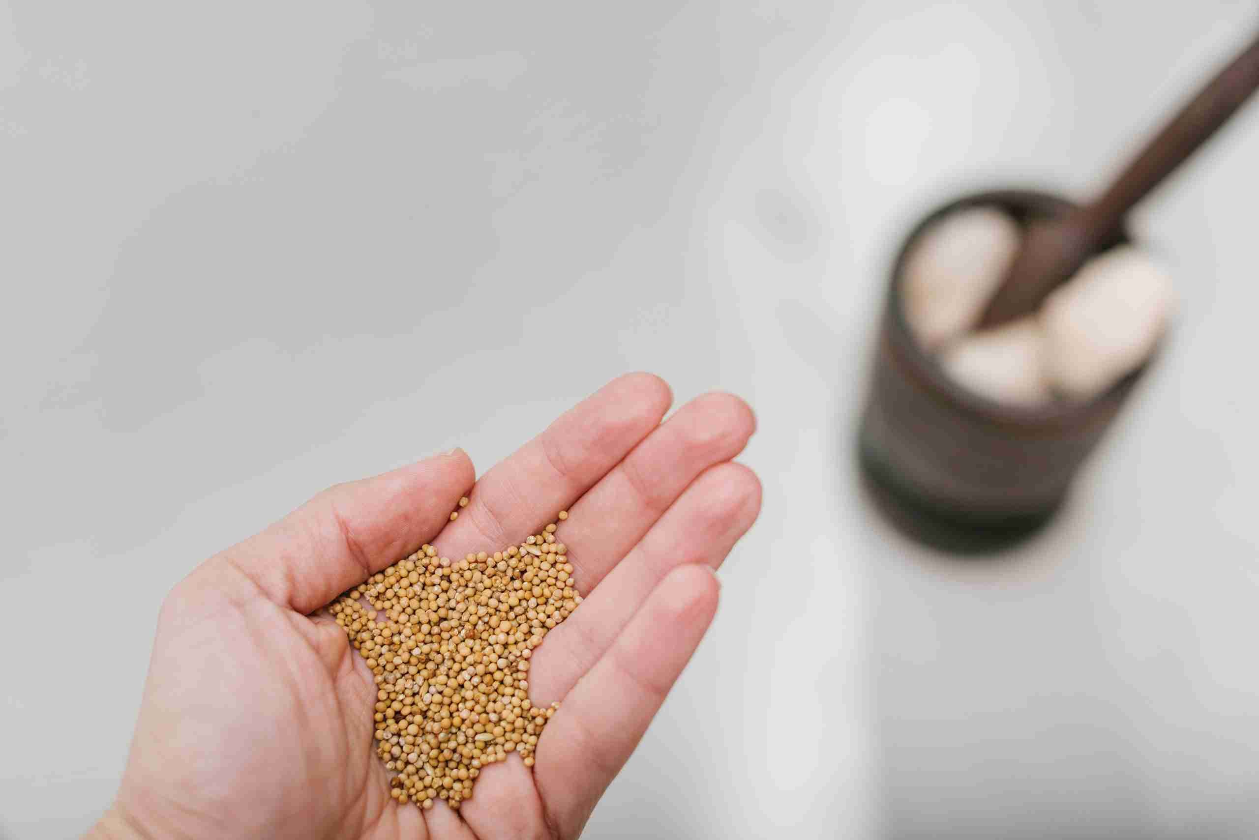 சிறுதானியங்களின் தனி சிறப்புகள்