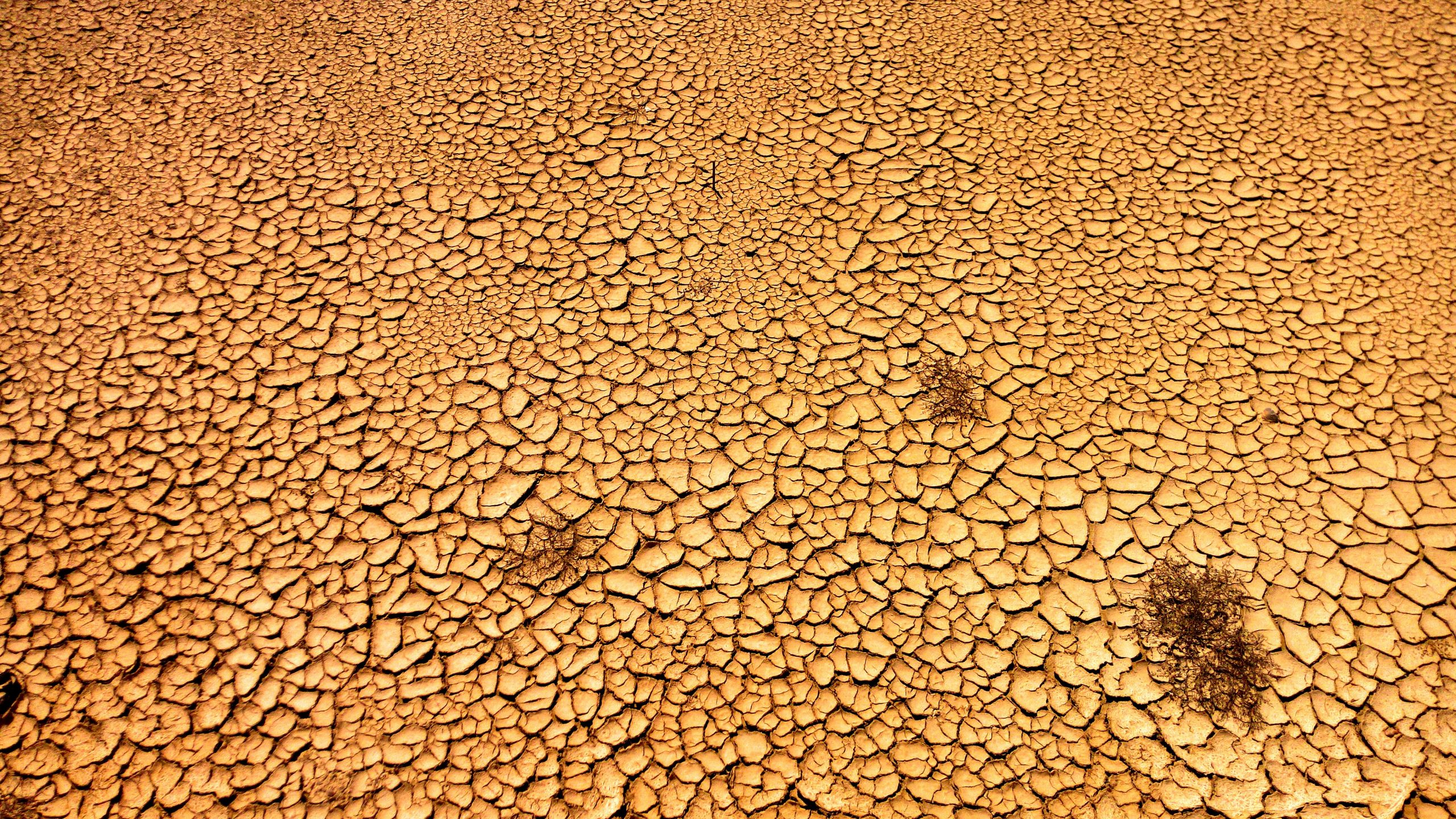Стало пустынно поля засеяны незаслуженная обида. Текстура пустыни. Песок пустыня текстура. Засохшая пустыня. Почва текстура.