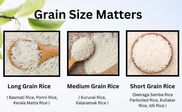 Rice Size Variety