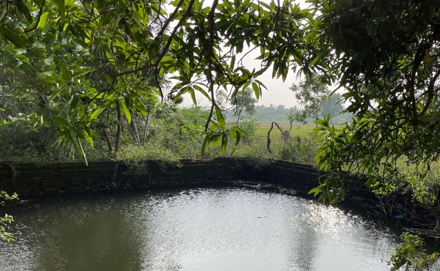 Natural Pond