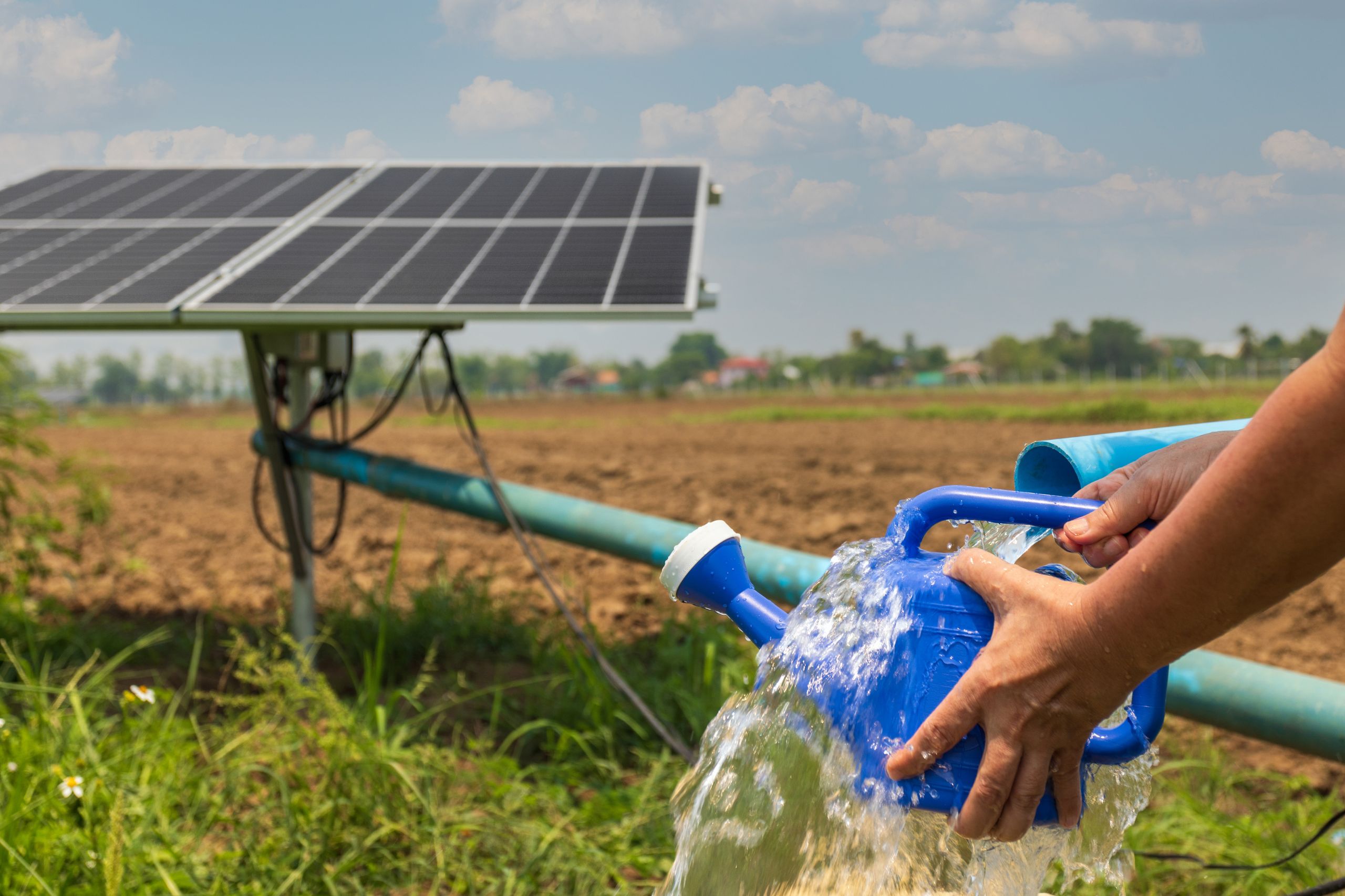 Eating Green: The Health Benefits of Products from Solar-Powered Farms
