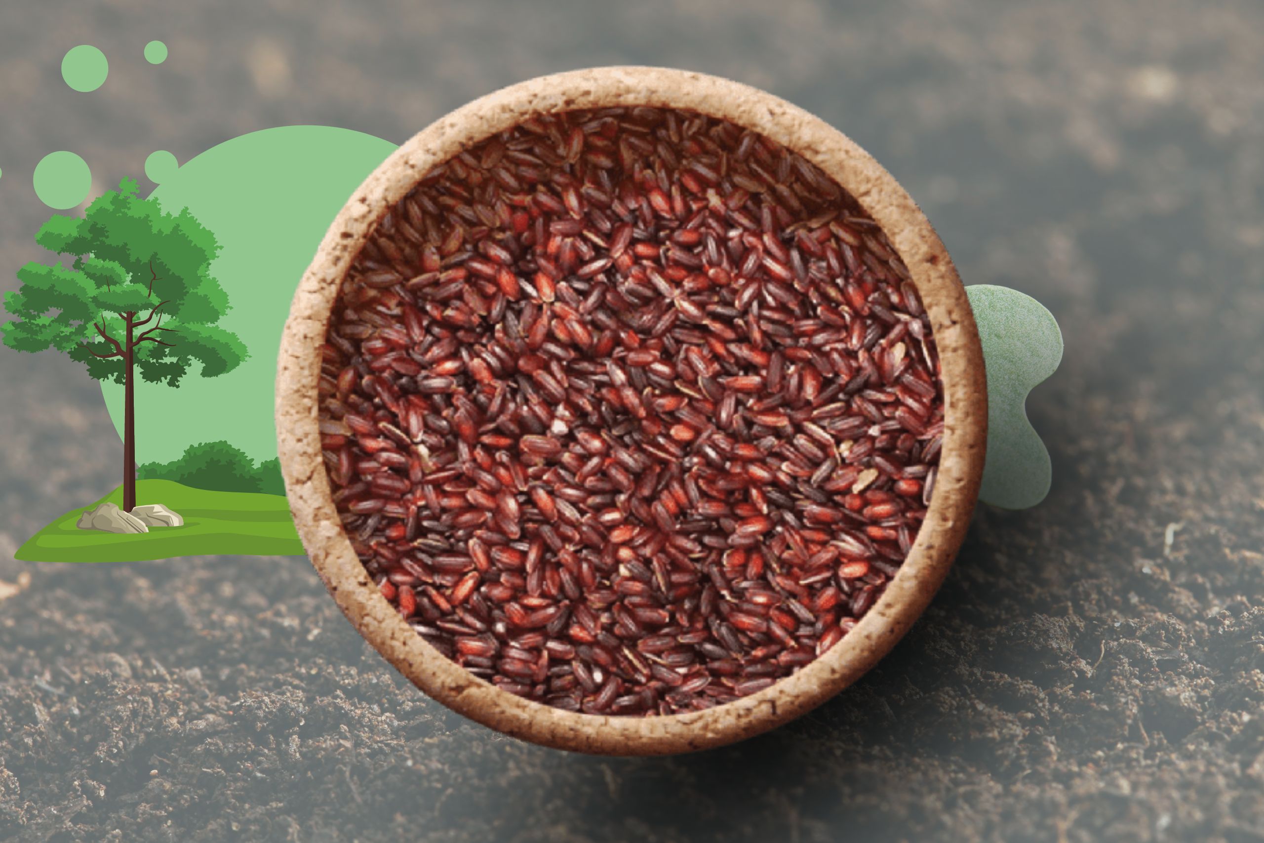 Karun kuruvai rice recipes
