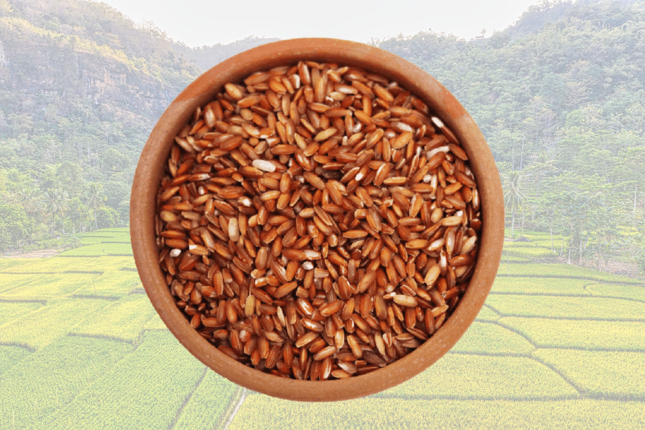 பூங்கர் அரிசி சமையல் குறிப்புகள்