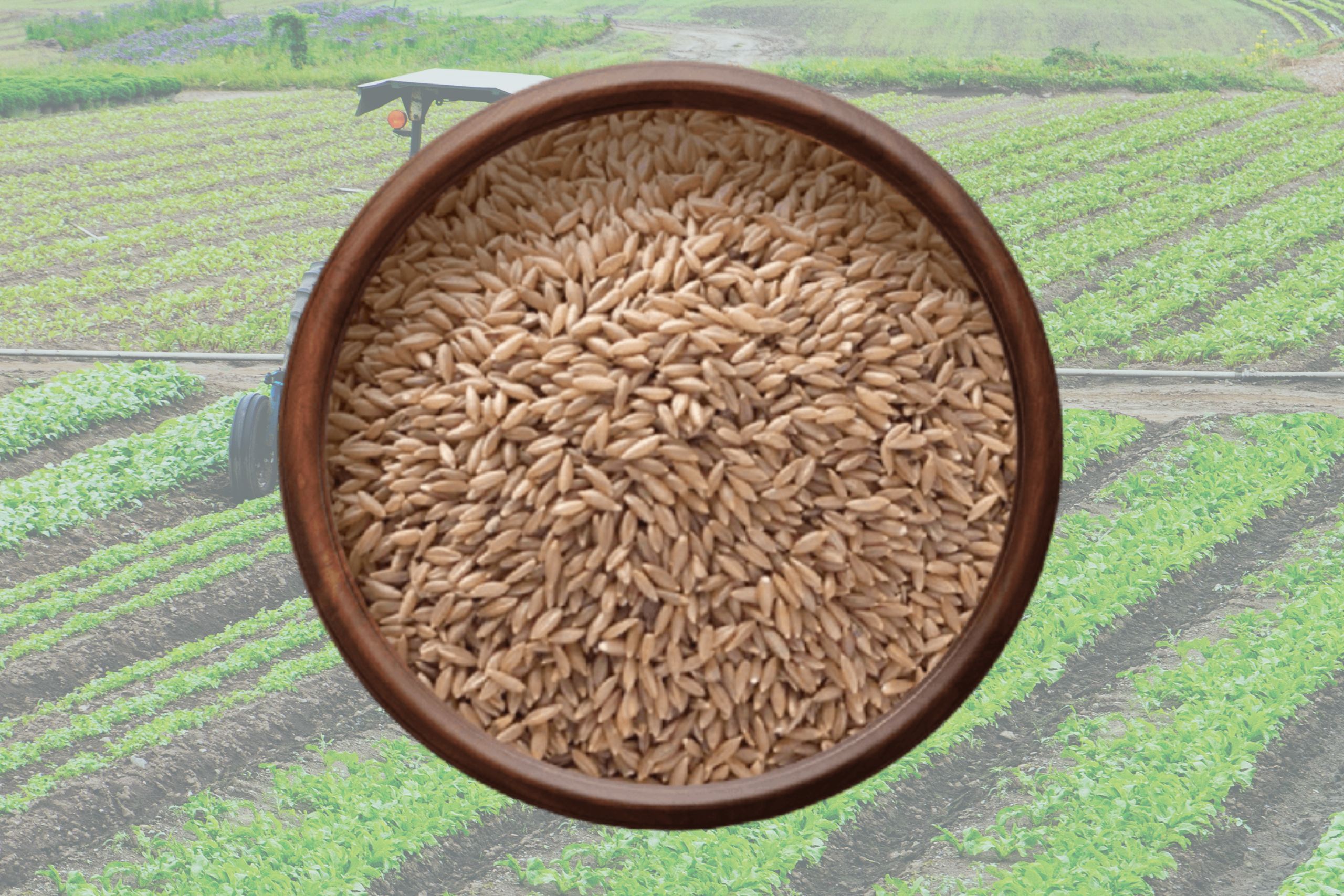 மூங்கில் அரிசி  சமையல் குறிப்பு