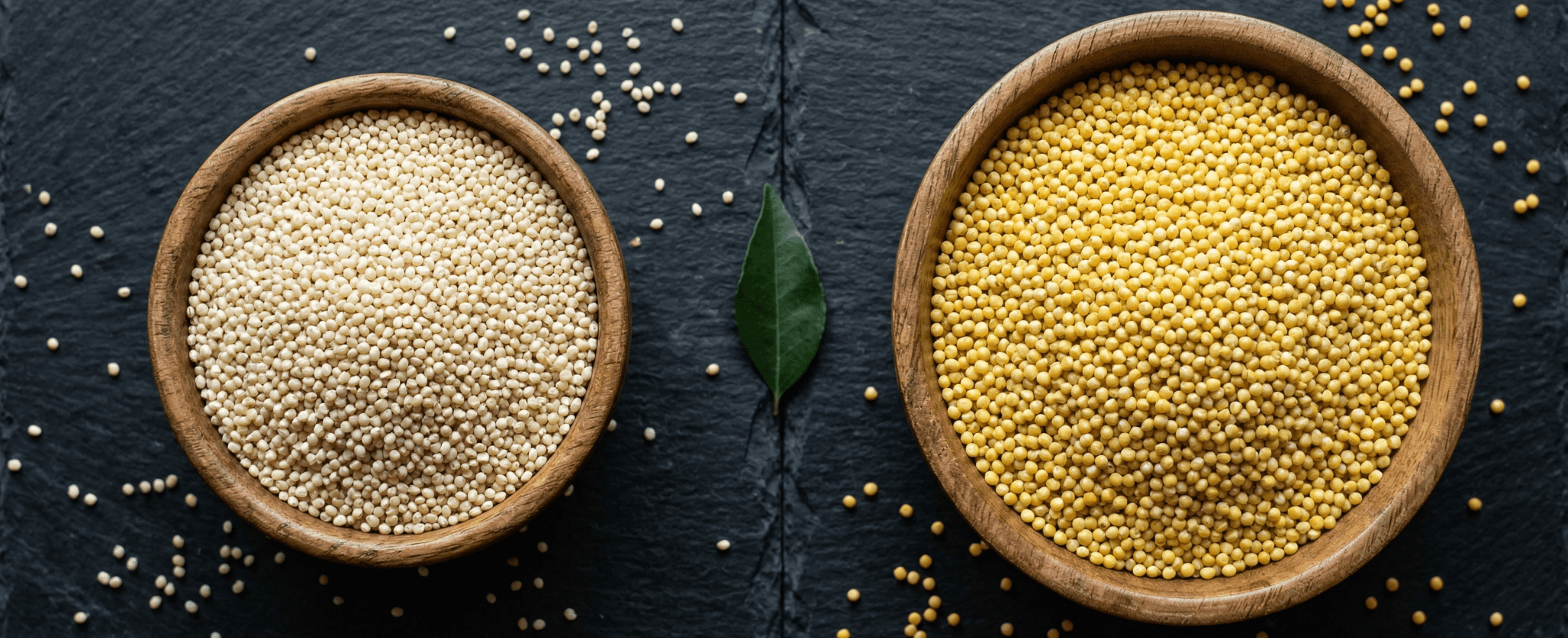 
        Little Millet vs Foxtail Millet: Which One Should You Eat Daily?