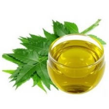 NEEM OIL - ORGANIC HERBAL OIL 200ML