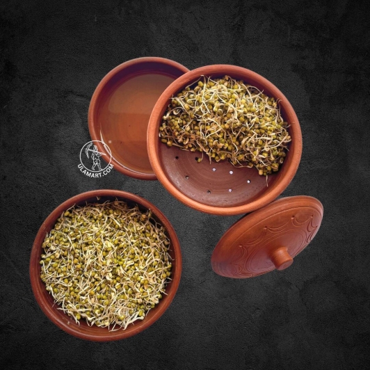 3 LAYER CLAY SPROUTING POT WITH LID | SPROUTER 