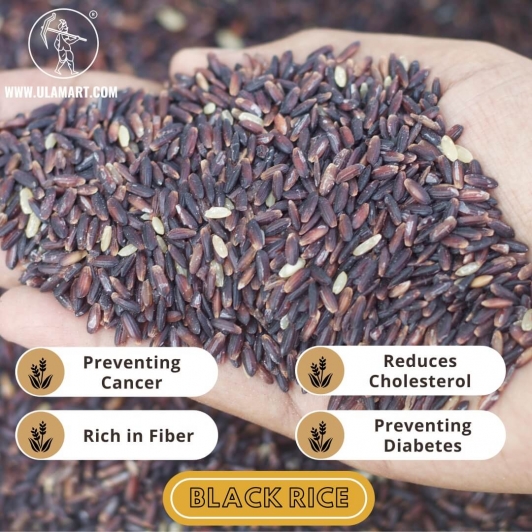 Black Rice - Forbidden Rice - Karuppu Kavuni - Organic Raw Rice