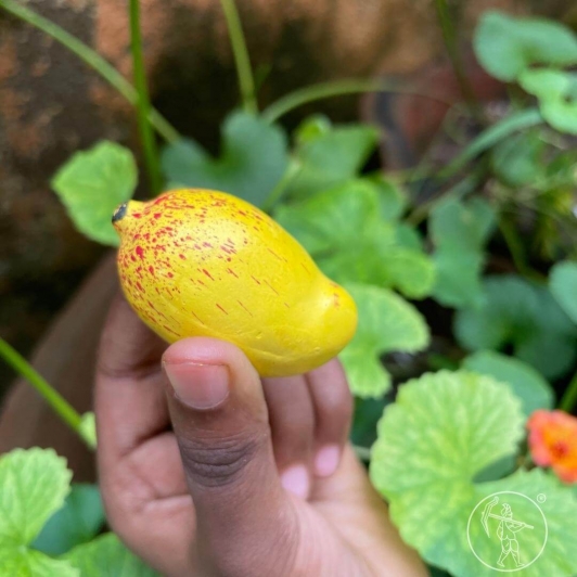 Earthen Clay Miniature Vegetables and Fruits set with Clay Bowl