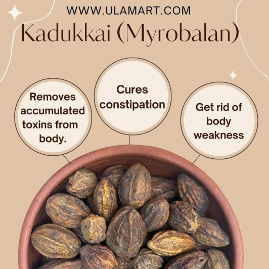 Haritaki (Kadukkai) – Pure Terminalia Chebula Fruit for Traditional Wellness