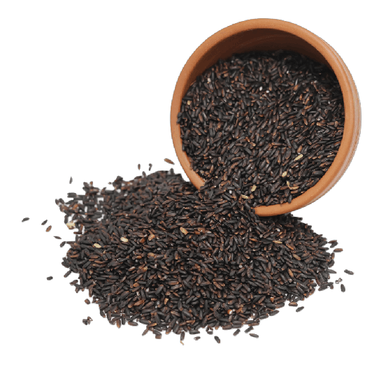 Boiled Black Rice | Karuppu Kavuni Puzhungal | Buy 1 kg Pack & SAVE Rs.60