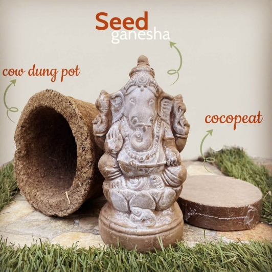 PLANTABLE GANESHA IDOL KIT| ECO-FRIENDLY SEED VINAYAKA