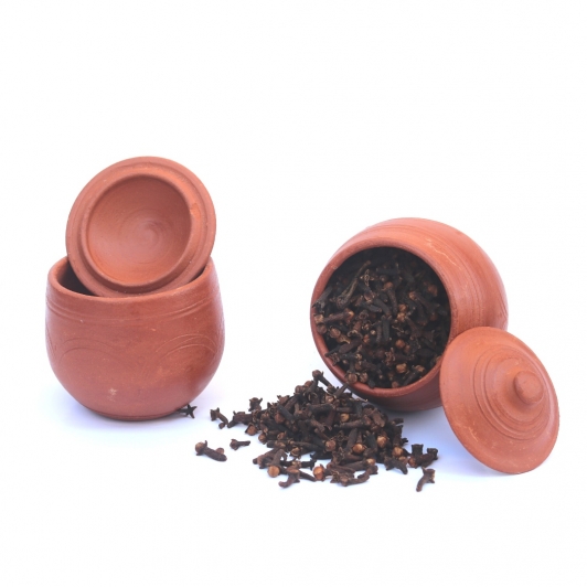 3 inch Clay Pot With Lid - Pack of 2| Dinnerware