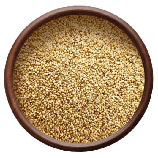 Foxtail Millet - Organic Thinai - Kangni
