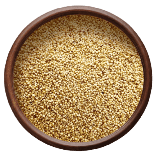 సేంద్రీయ కొర్రలు | Organic Foxtail Millet