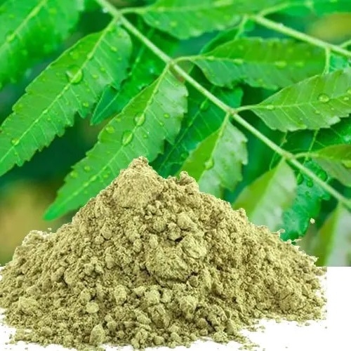 Organic Neem powder for Daily Detox - 100g Pack