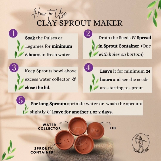 3 LAYER CLAY SPROUTING POT WITH LID  | SPROUT MAKER