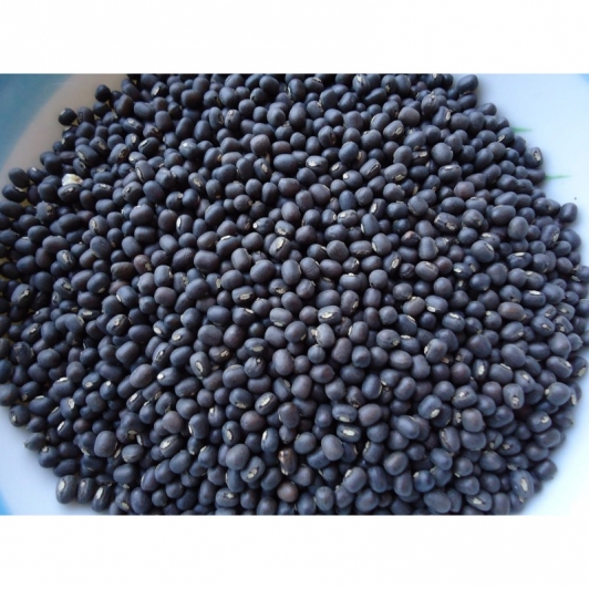 Black Urad Dal - Organic Black gram