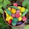 Earthen Clay Miniature Vegetables and Fruits set with Clay Bowl