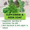 Kuppaimeni & Neem bath soap | Indian Acalypha or Nettle | Excellent Skin Care Properties