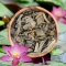Dried Lotus Petals | Herbal Tea | Skin Care | Aromatherapy