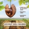 Coconut Shell Squirrel Hanging | Home Decor