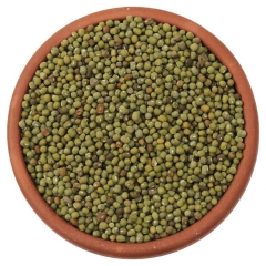 Whole Green Gram - Unpolished Organic Pulses