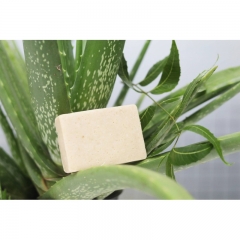 Aloevera Neem Soap (Pack of 2) |Handmade Herbal Bath Soaps