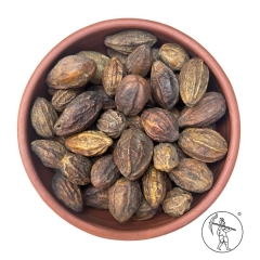 Haritaki (Kadukkai) – Pure Terminalia Chebula Fruit for Traditional Wellness