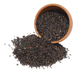 నల్ల బియ్యం | Black Rice | Buy 1 kg Pack & SAVE Rs.30/-