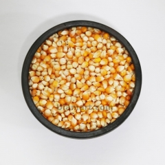 Popcorn - Organic