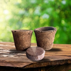 Cow dung Pot (pack of 2) with cocopeat - Organic farming